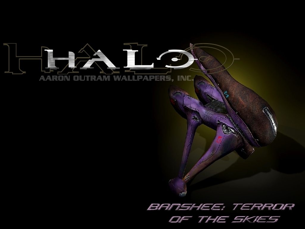 halo-2.jpg