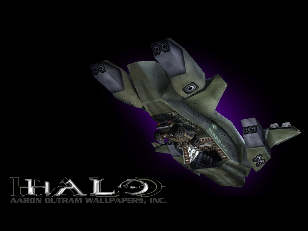 halo-9.jpg